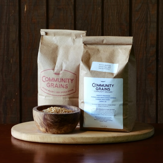 Patwin Hard White Winter Wheat Kernels